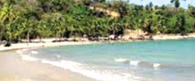 dapoli
